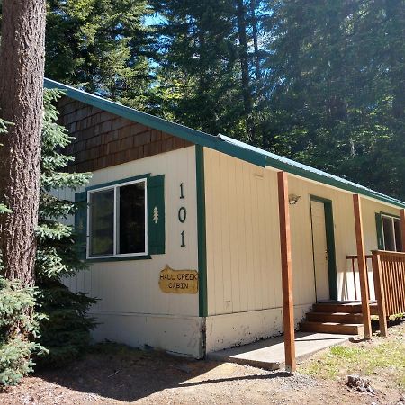 Hall Creek Cabin باكوود المظهر الخارجي الصورة