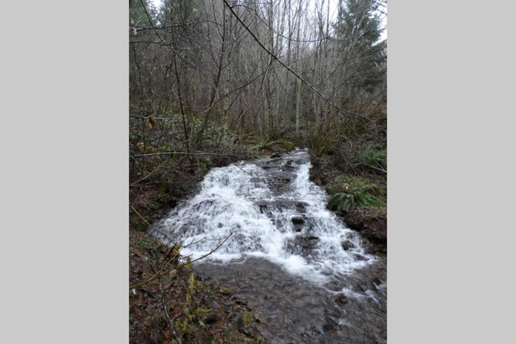 Hall Creek Cabin باكوود المظهر الخارجي الصورة