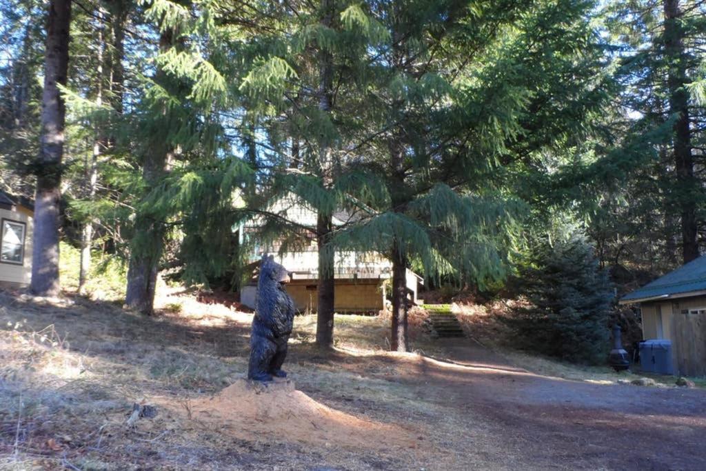 Hall Creek Cabin باكوود المظهر الخارجي الصورة